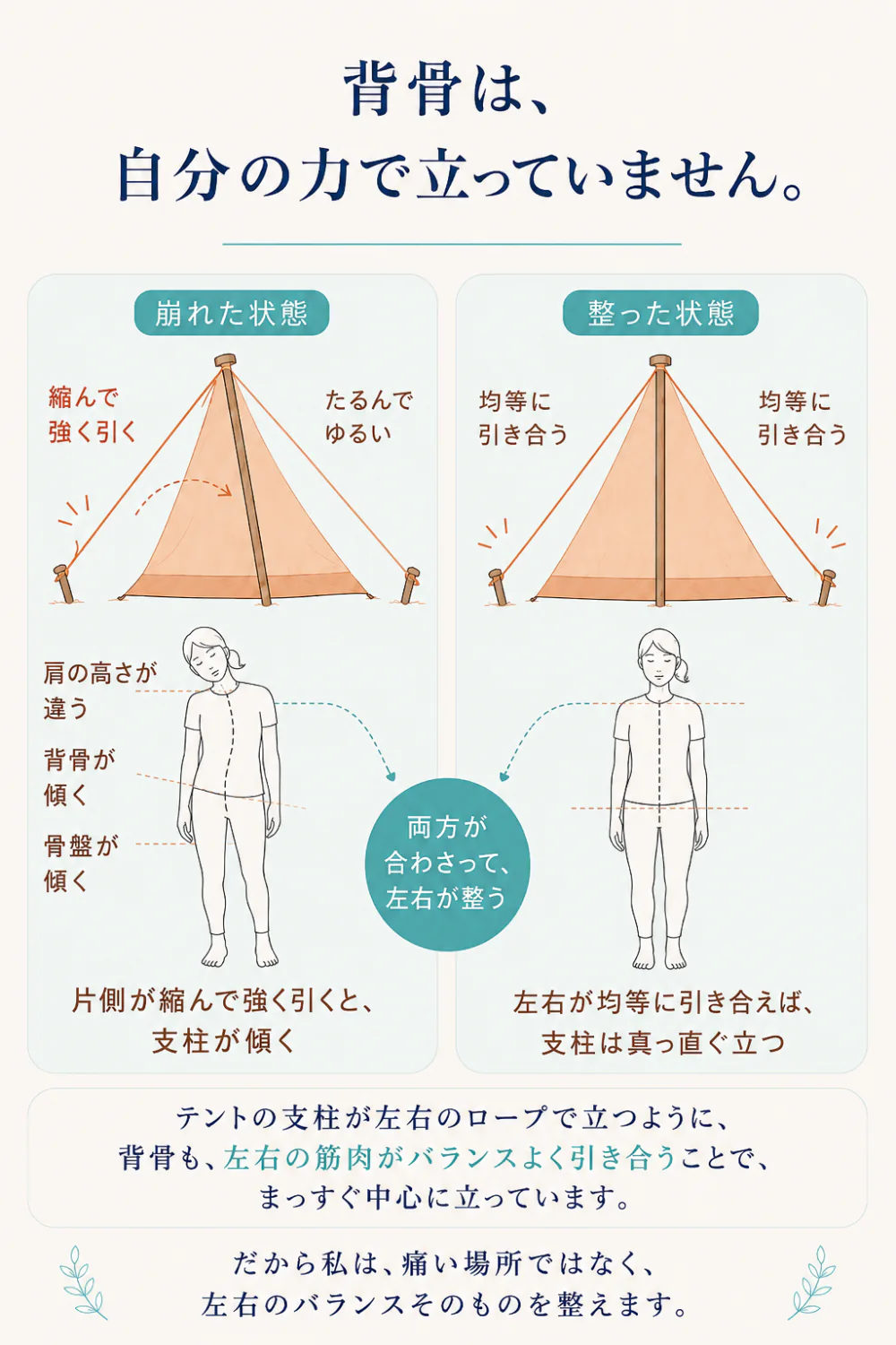 背骨は、自分の力で立っていません。